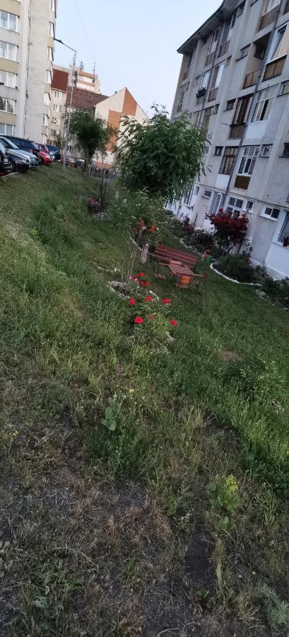 Focus Lux Apartment Miercurea Ciuc Bagian luar foto
